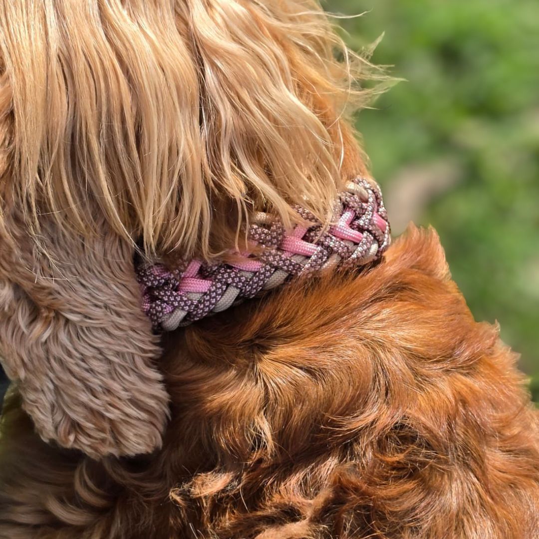 Handgemachtes Paracord-Hundehalsband "Spring Blush" – Ansicht 2