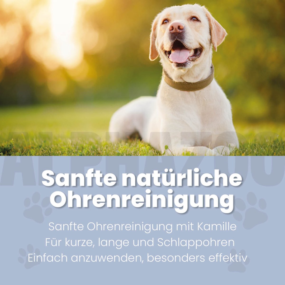 Lauscher-Auf Ohrenreiniger für Hunde – Ansicht 2