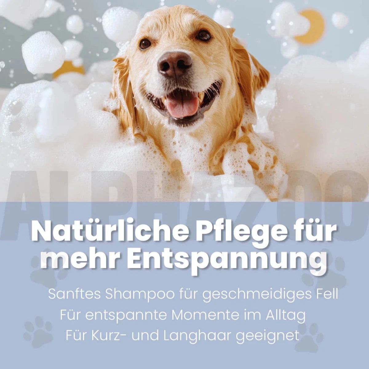 Lavellness Shampoo für Hunde – Ansicht 2