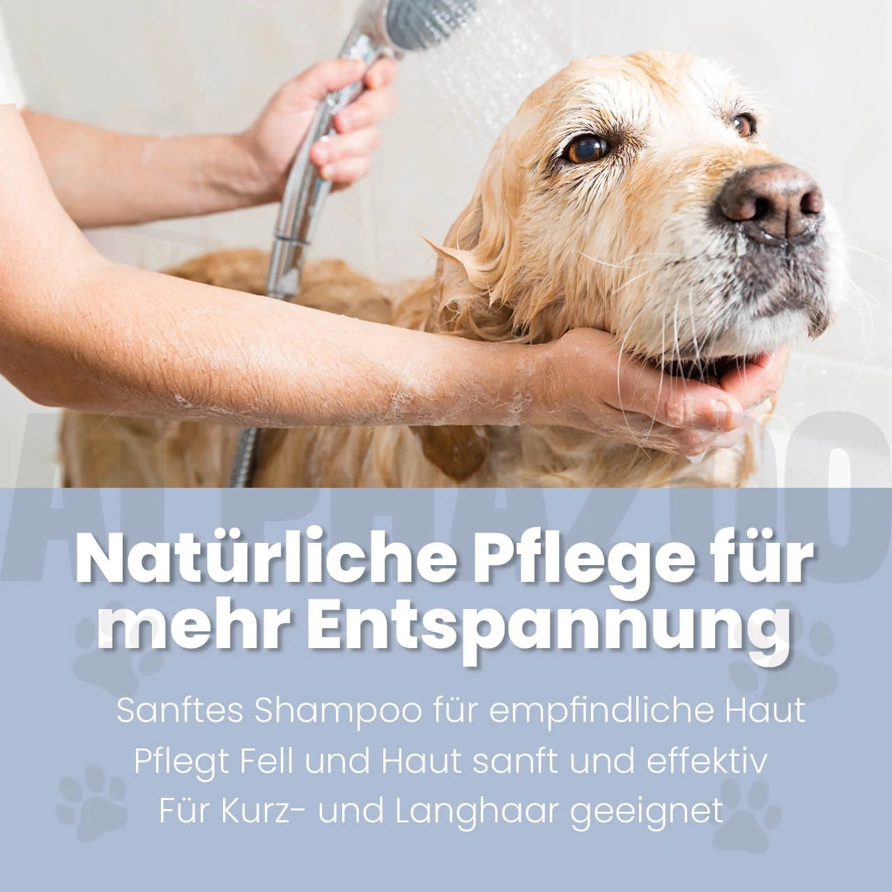 Sensibelchen Shampoo für Hunde – Ansicht 2