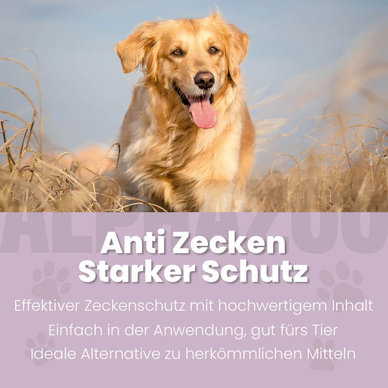 ZeckAttack Spot-On für Hunde – Ansicht 2