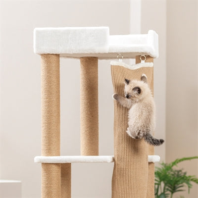 Kratzbaum & Kratzmöbel