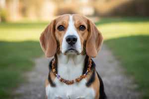 Amberdog® Bernsteinkette mit Amethyst & Rosenquarz 32cm