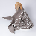 Decke Caruso Dogs