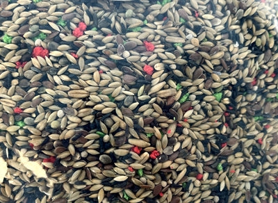 De Vries Frostiger Stimmlicher Samen