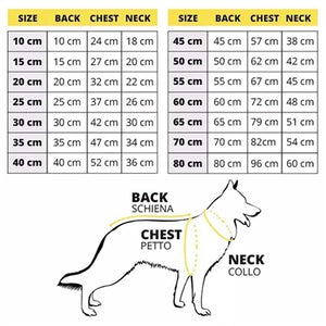 Croci Dog Jumper Nevermind Schwarz