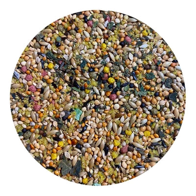 Utopia Tropische Vögel Spitzenqualität