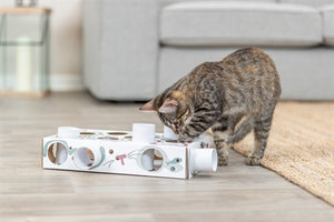 Trixie Katze Aktivität Paws'n'treats Box Karton