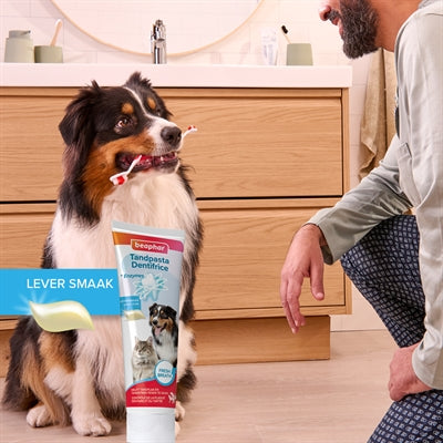 Beaphar Und Bürste Kombi-Packung