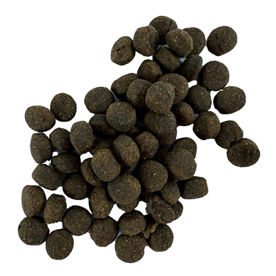 I Am Ich Bin Lamm-Murmeln