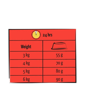 Lara Larve Erwachsenes Rind
