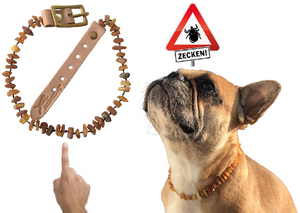 Hunde Bernsteinkette SuperFlex – Ansicht 4