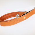 Hundehalsband CLASSIC Light