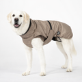 Hunderegenjacke mit Rückenöffnung "Cashmere Brown"