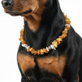 Bernsteinkette für den Hund mit Swari und Muscheln Länge 23 cm