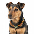 Hunde Bernsteinkette mit Edelsteinen Herzchen Länge 34cm