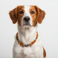 Hunde Bernsteinkette mit Edelsteinen Länge 40cm