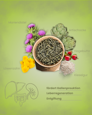 Krähenbusch® Mineral Stoffwechsel – Ansicht 4