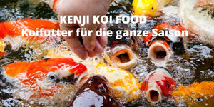 KENJI KOI Color & Growth 5kg – Ansicht 8