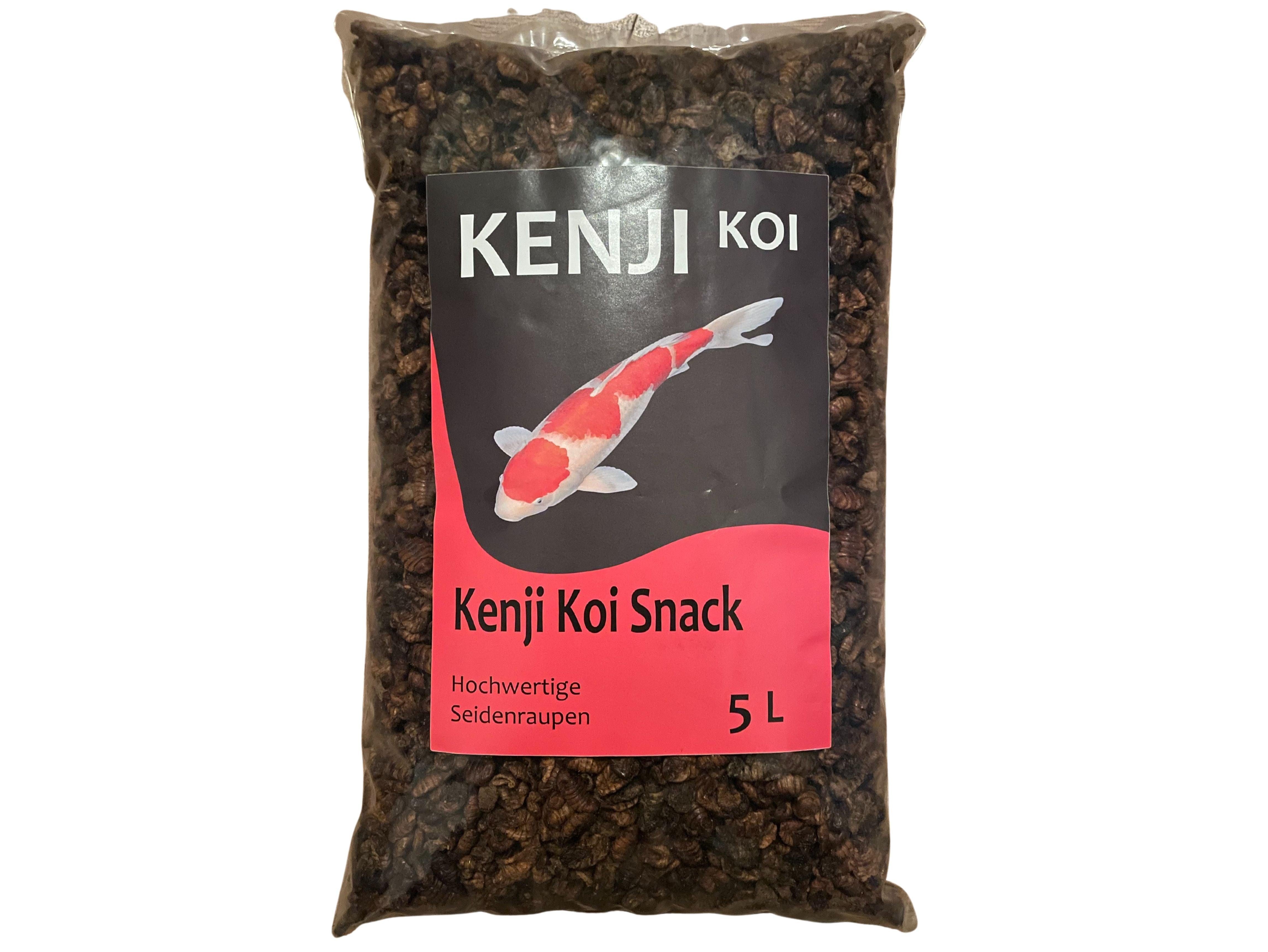 KENJI KOI Snack - Seidenraupen