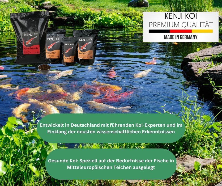 KENJI KOI Winter Balance - sinkend – Ansicht 7