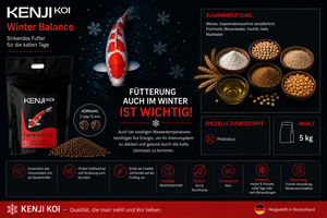 KENJI KOI Winter Balance - sinkend – Ansicht 3