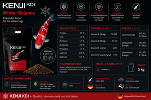 KENJI KOI Winter Balance - sinkend – Ansicht 4