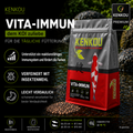 KENKOU® Vita-Immun Mix Koifutter 3 mm - schwimmend