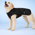 Hunderegenjacke mit Rückenöffnung "Midnight Black"