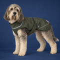 Hundewinterjacke „Moss Green“ – besonders warm - NEU mit Rückenöffnung