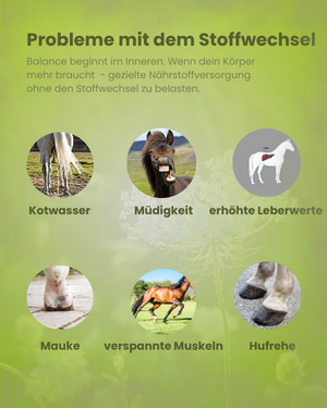 Krähenbusch® Mineral Stoffwechsel – Ansicht 3