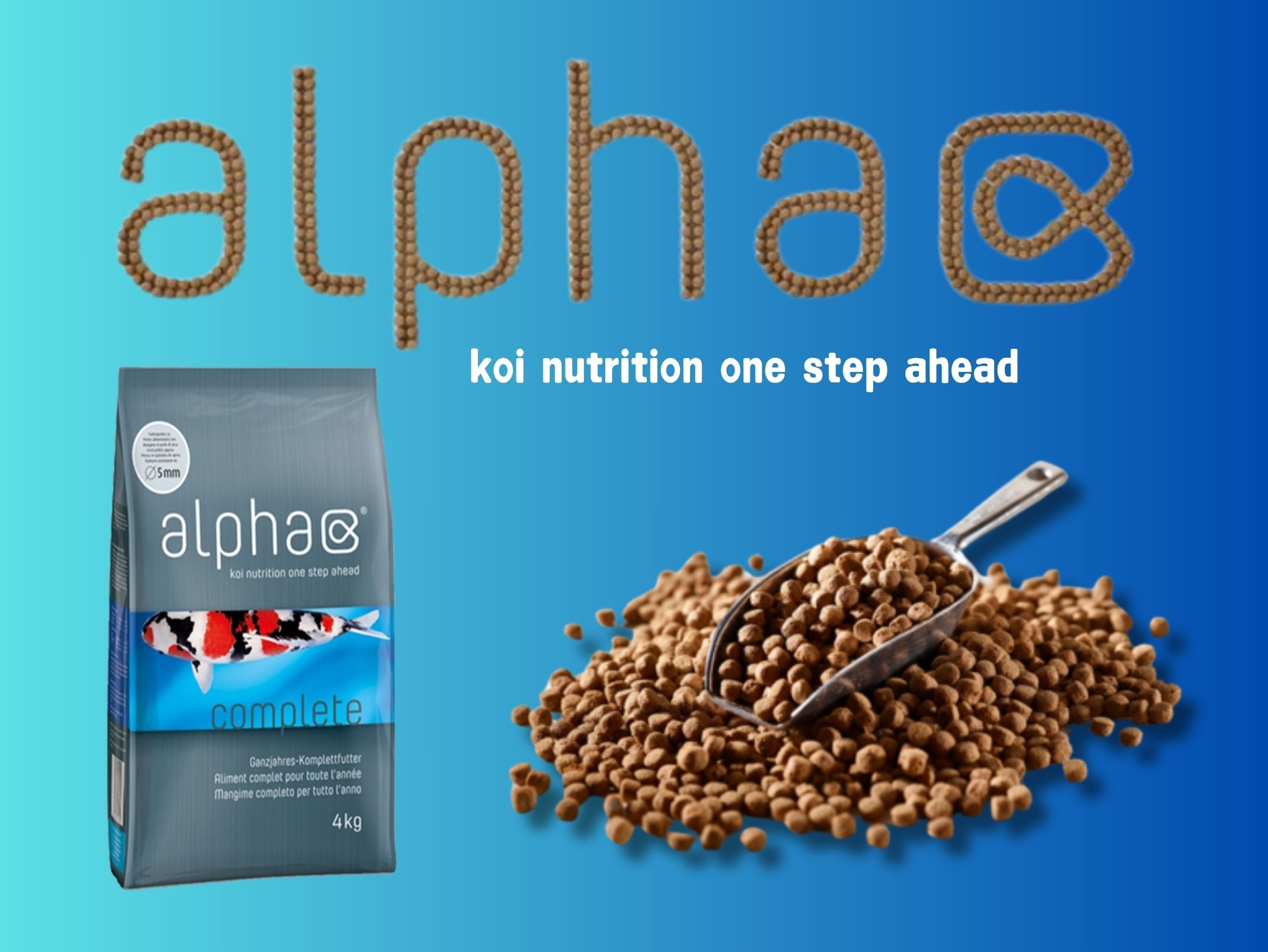 alpha complete – Ansicht 4